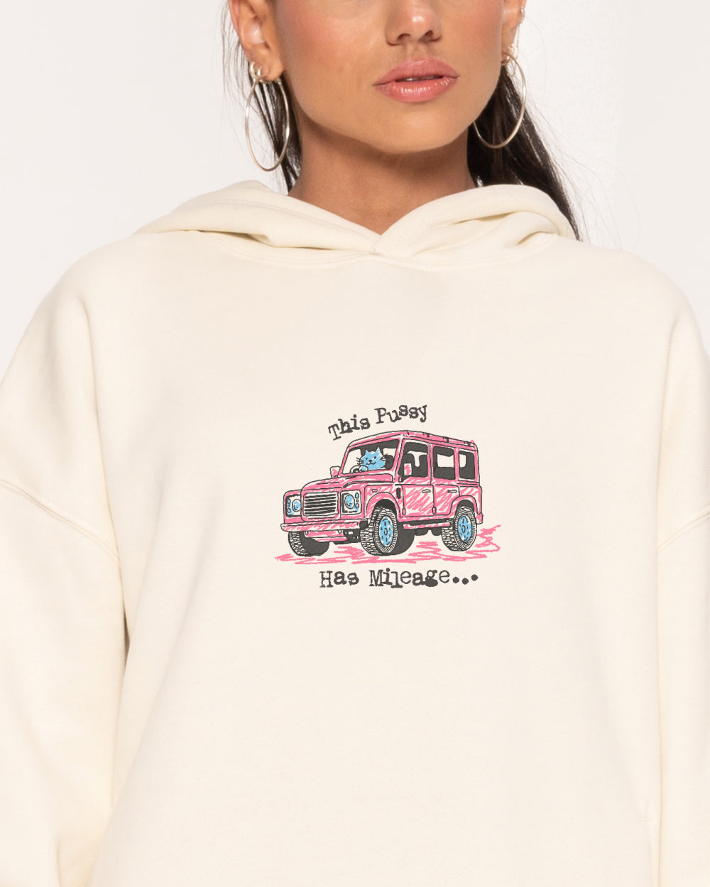 Pussy Has Mileage Hoodie