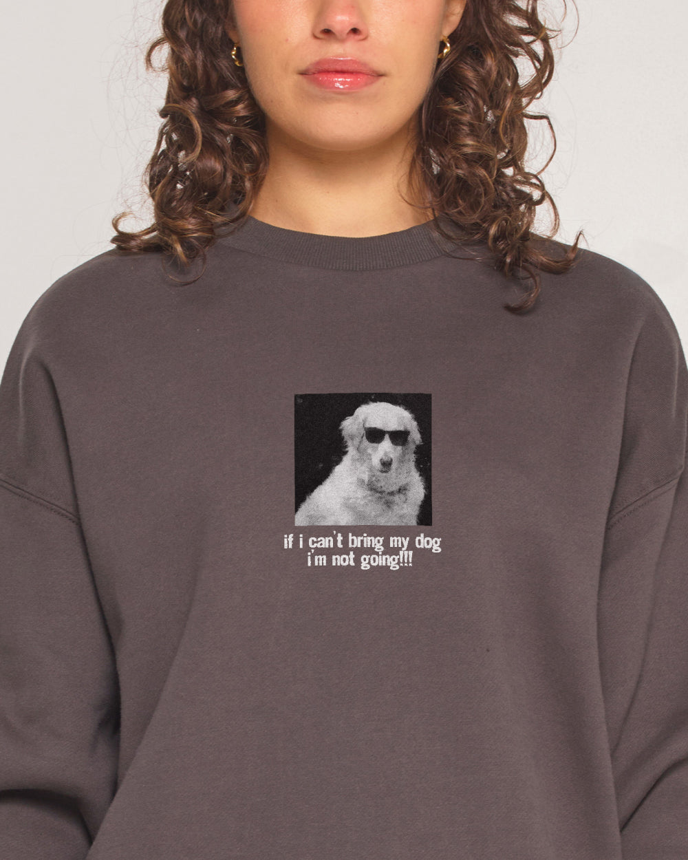 If I Can’t Bring My Dog Sweatshirt